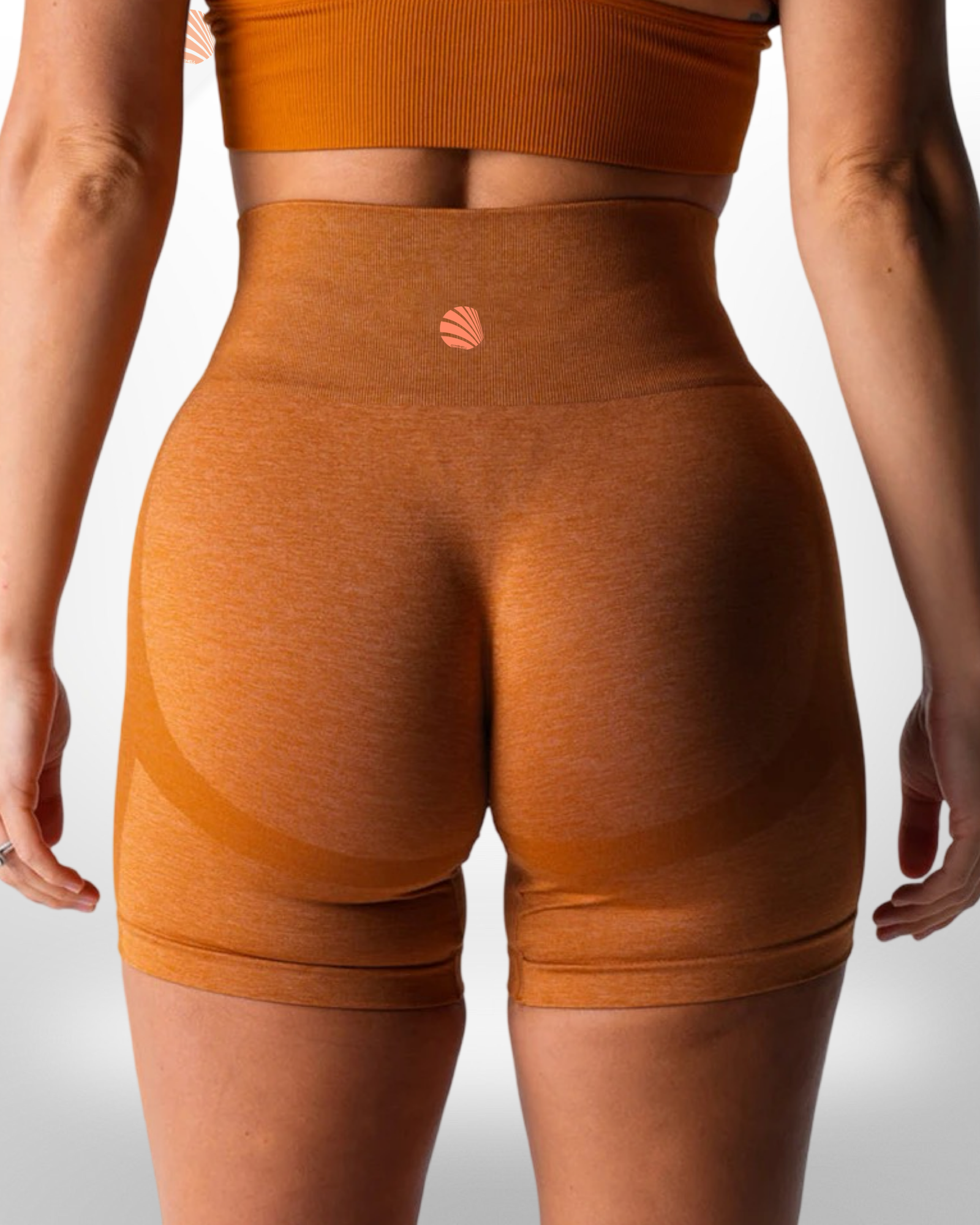 Terra Seamless Shorts