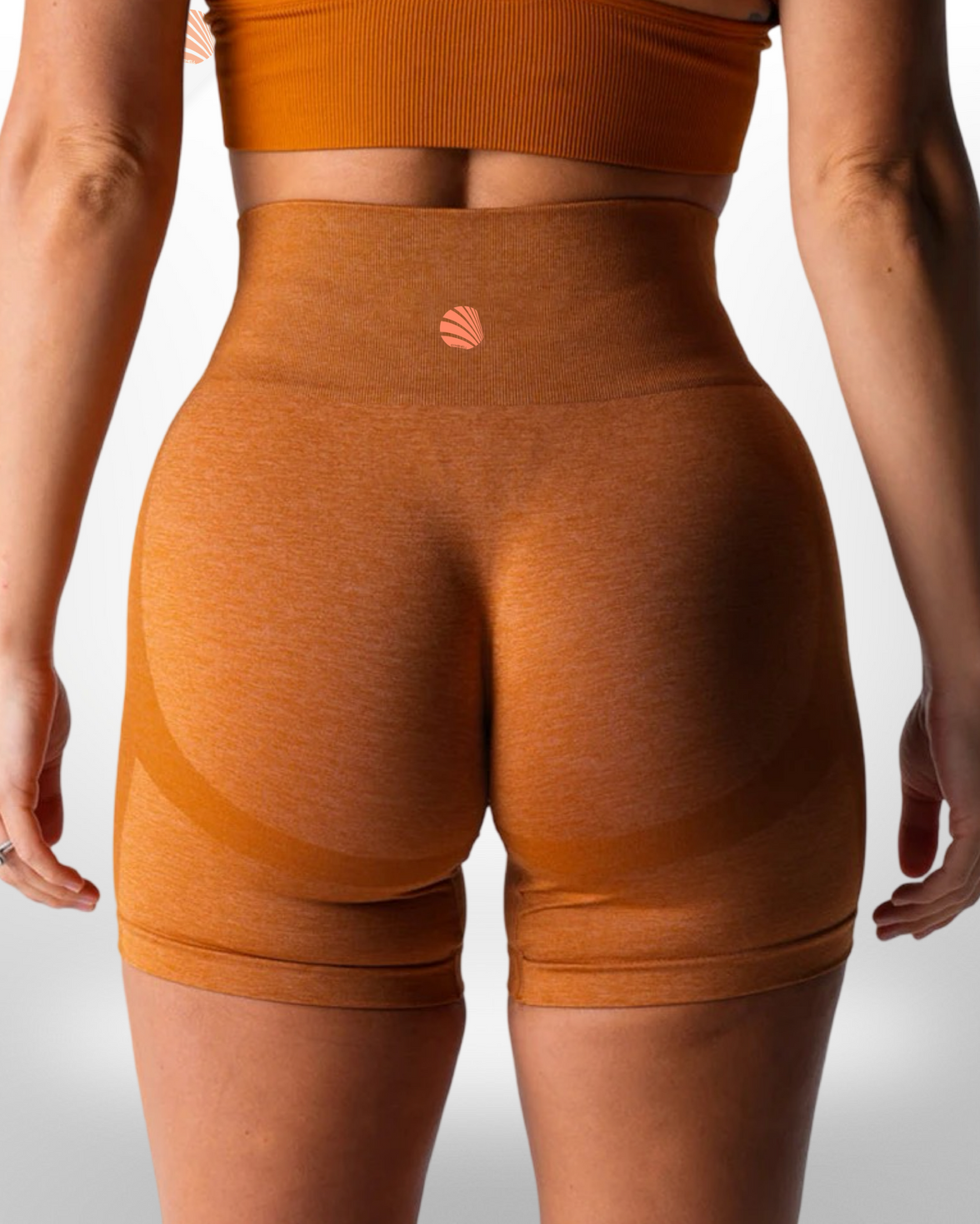 Terra Seamless Shorts